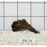 Bogwood 24