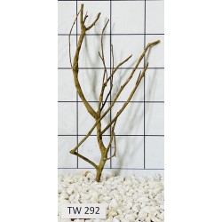 Talawawood 292