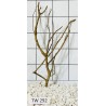 Talawawood 292