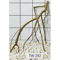 Talawawood 292