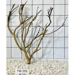 Talawawood 293