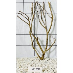Talawawood 294