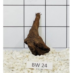 Bogwood 24