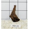 Bogwood 24