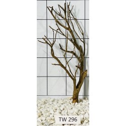 Talawawood 296
