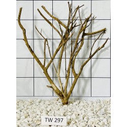 Talawawood 297