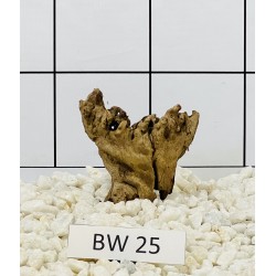 Bogwood 25