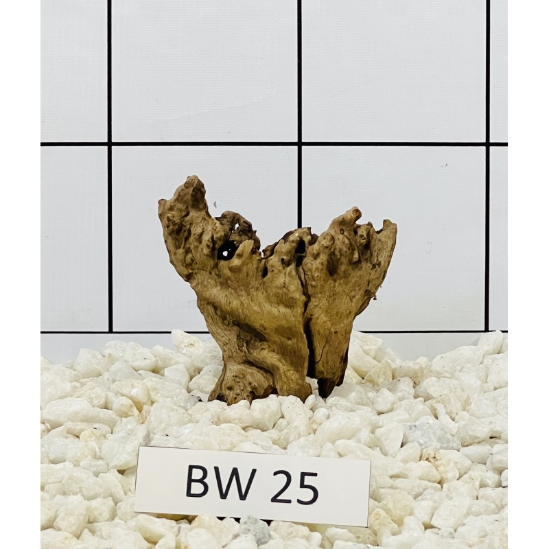Bogwood 25