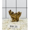 Bogwood 25