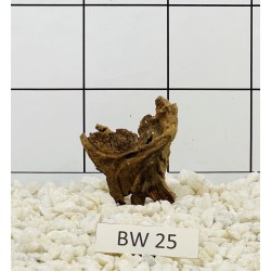 Bogwood 25