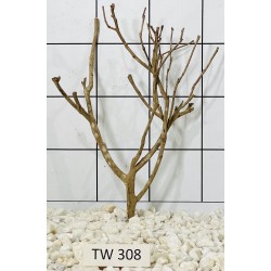 Talawawood 308