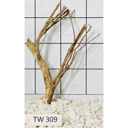 Talawawood 309