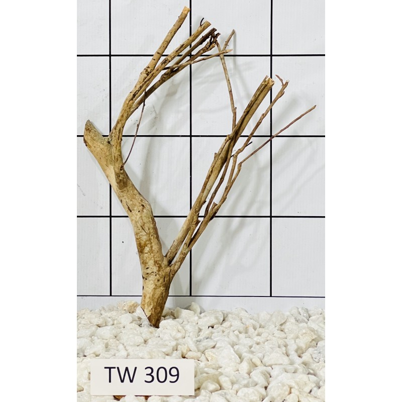 Talawawood 309