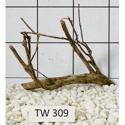 Talawawood 309