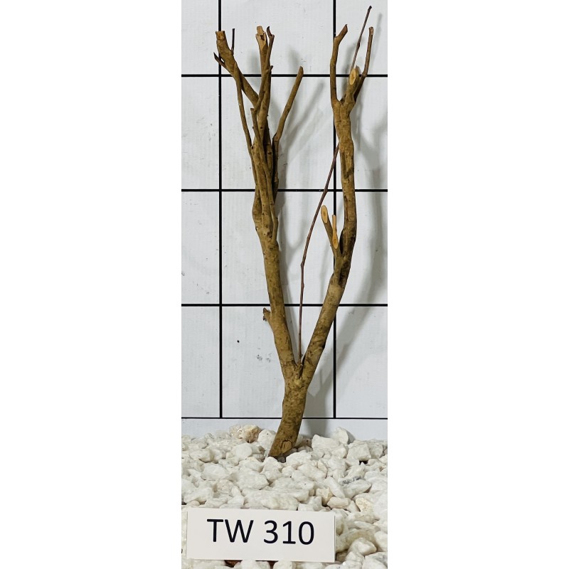 Talawawood 310