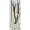 Talawawood 310
