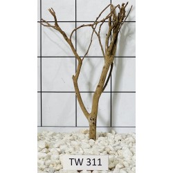 Talawawood 311