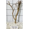 Talawawood 311