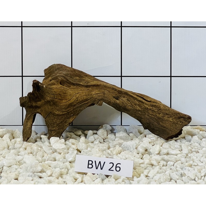 Bogwood 26