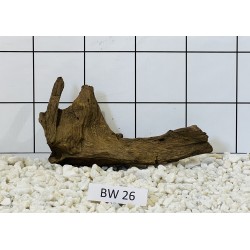 Bogwood 26