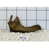 Bogwood 26