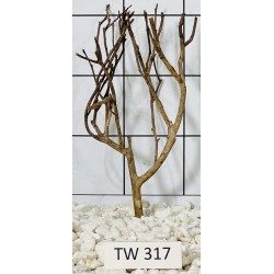 Talawawood 317