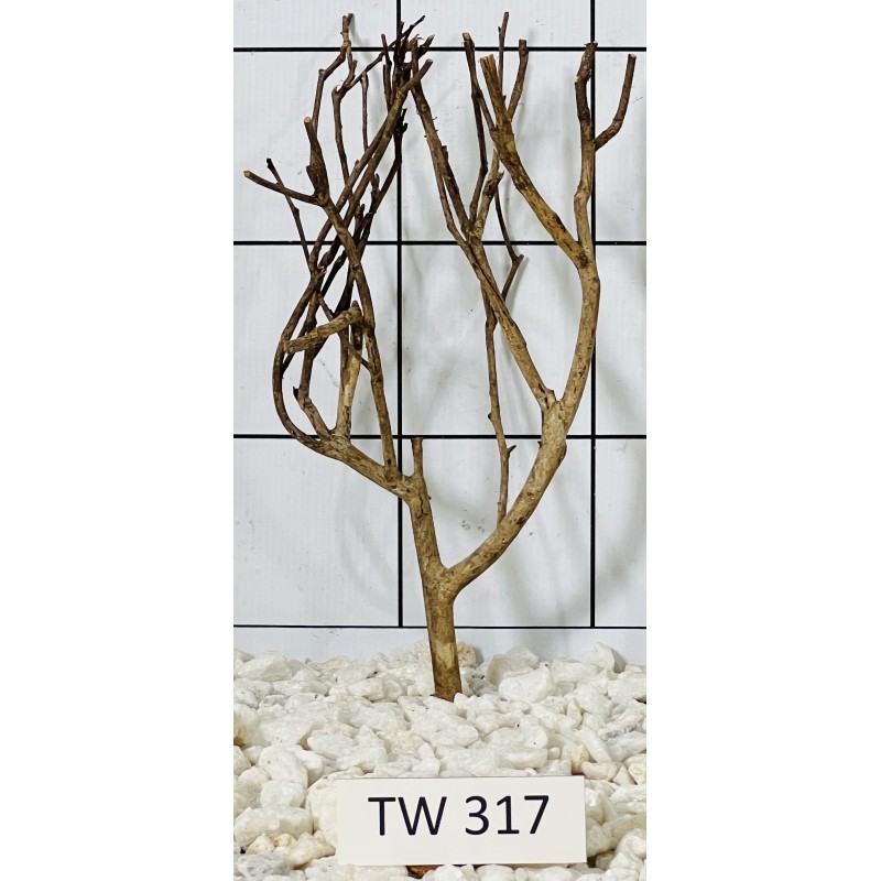 Talawawood 317