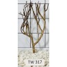 Talawawood 317