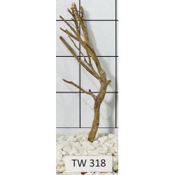 Talawawood 318