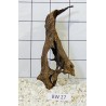 Bogwood 27