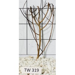 Talawawood 319