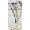Talawawood 319