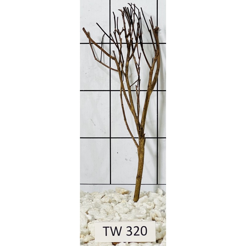 Talawawood 320