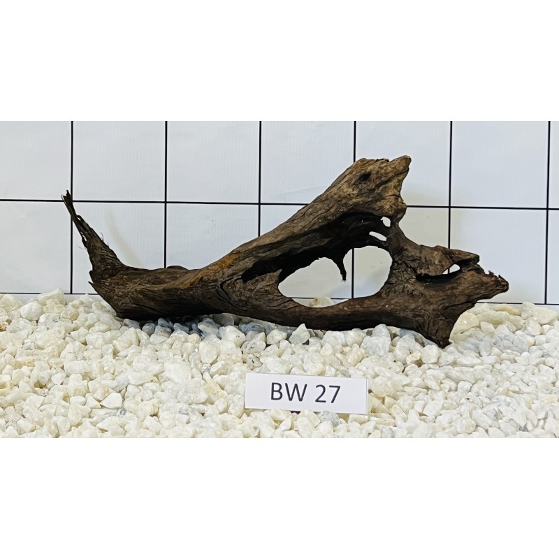 Bogwood 27