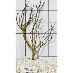 Talawawood 324