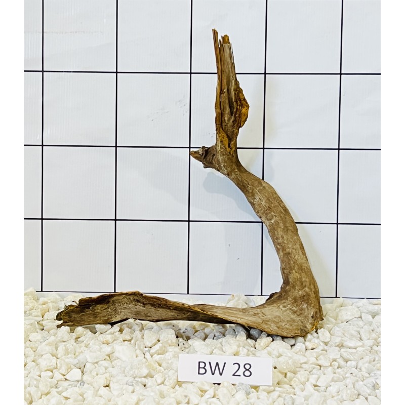 Bogwood 28