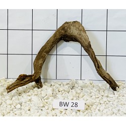Bogwood 28