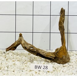 Bogwood 28