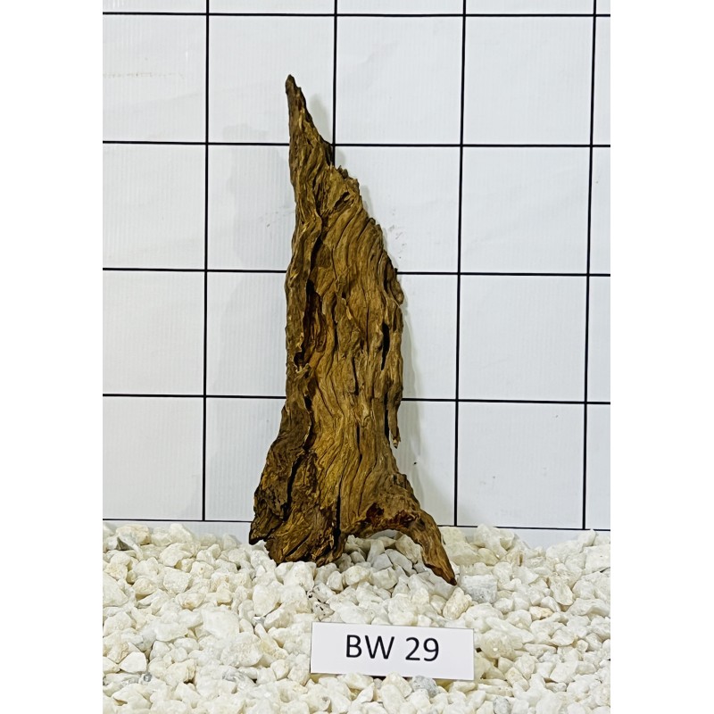 Bogwood 29