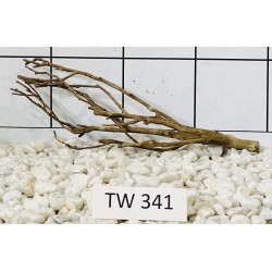 Talawawood 341