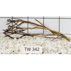 Talawawood 342