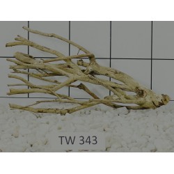 Talawawood 343