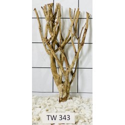 Talawawood 343