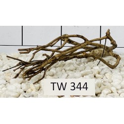 Talawawood 344