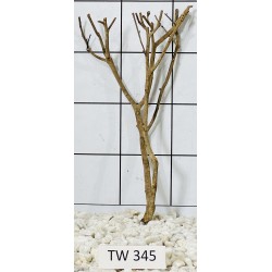 Talawawood 345