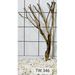 Talawawood 346