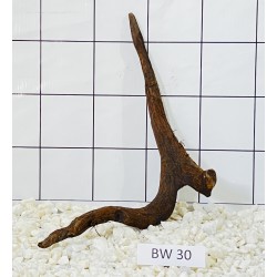 Bogwood 30
