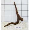 Bogwood 30