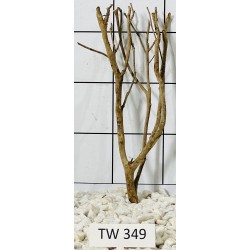 Talawawood 349