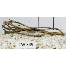 Talawawood 349